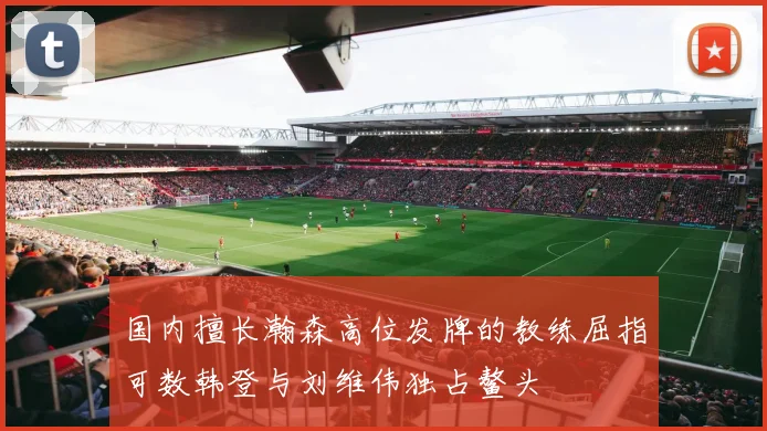 国内擅长瀚森高位发牌的教练屈指可数韩登与刘维伟独占鳌头